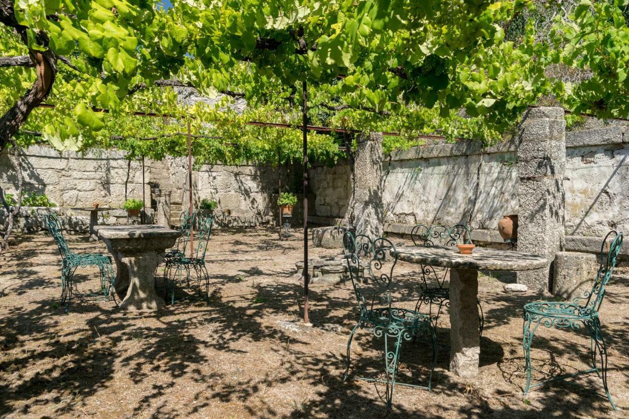 Willa Casa De Pascoaes Historical House Amarante Zewnętrze zdjęcie